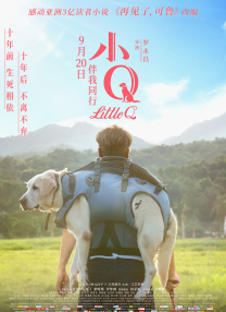 国产精品久久久久久久久久免费看